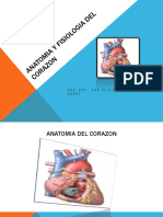 Anatomía y funciones del corazón