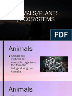Animals, Plants, and Ecosystems