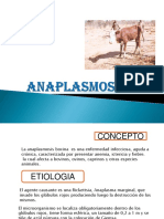 18) - Anaplasmosis