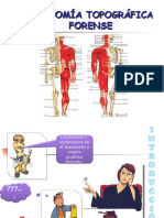 anatomía forense regional