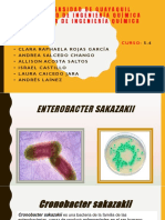 Cronobacter Sakazakii
