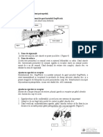 Instructiuni pentru dresaj.pdf