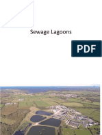 Sewage Lagoons