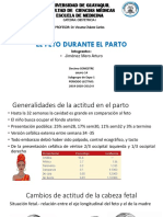 Cabeza Obstetricia