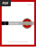 First Aid: A Guide To Earning The Merit Badge