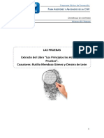 Teoria de la Prueba Contraloria.pdf