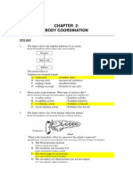 Spm Paper 1 2003 2008 Body Coordination Answer