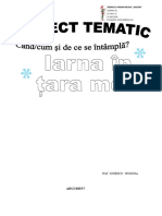 proiect_tematic_iarna_20172018