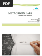 Blockchain Profile - Metaorigin Labs