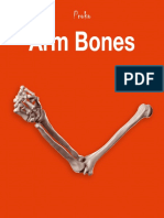 18c The-Arm-Bones-eBook PDF
