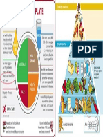 Patata_Palto-vs-pirámide.pdf