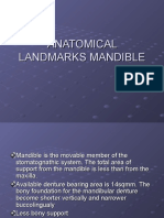 Anatomical Landmarks Mandible