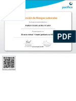 Comité Paritario en SST-Ver Certificado 113398 PDF