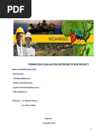 Project Formation Evaluation 2019 Christella PDF