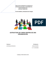 Estructura y Analisis de Cargo