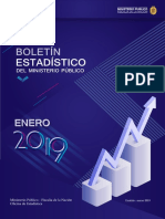 Boletin Estadistico Enero 2019 PDF
