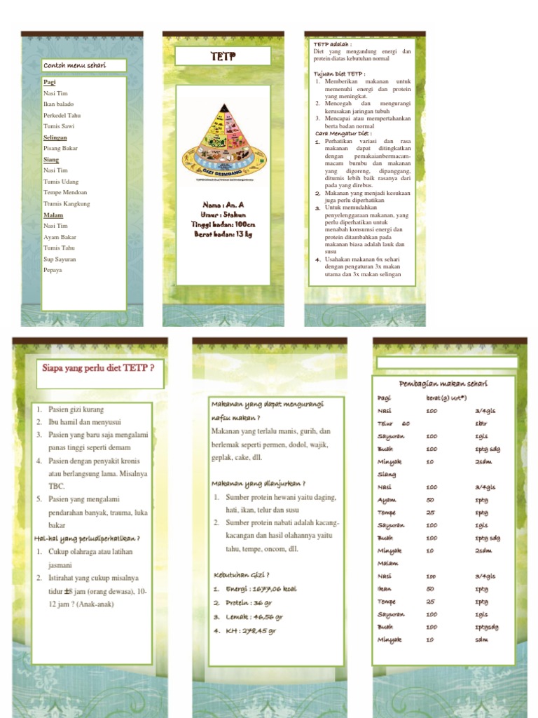 Menu Diet TETP untuk Anak 5 Tahun | PDF