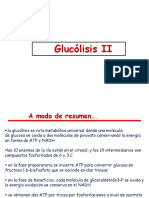 Glucólisis II