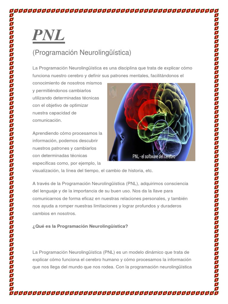 Que Es Vel PNL | PDF | Programación neurolingüistica | Neuropsicología