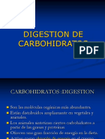 digestion carbo.ppt