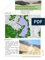 Profil-Bidwil-3-Fix SKW 5 Papandayan