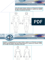 Protocolo Autopsia PDF