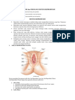 ANATOMI Dan FISIOLOGI SISTEM REPRODUKSI