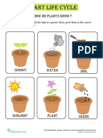 plant-life-cycle-cards