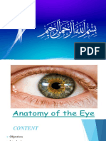 Anatomy of Eye
