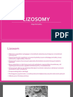 Lizosomy PDF
