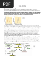 2018 A.B.A.D. Vet - Generala  PDF