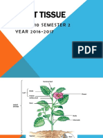 planttissue.pptx