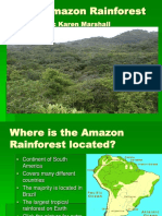 Amazon Rainstorm