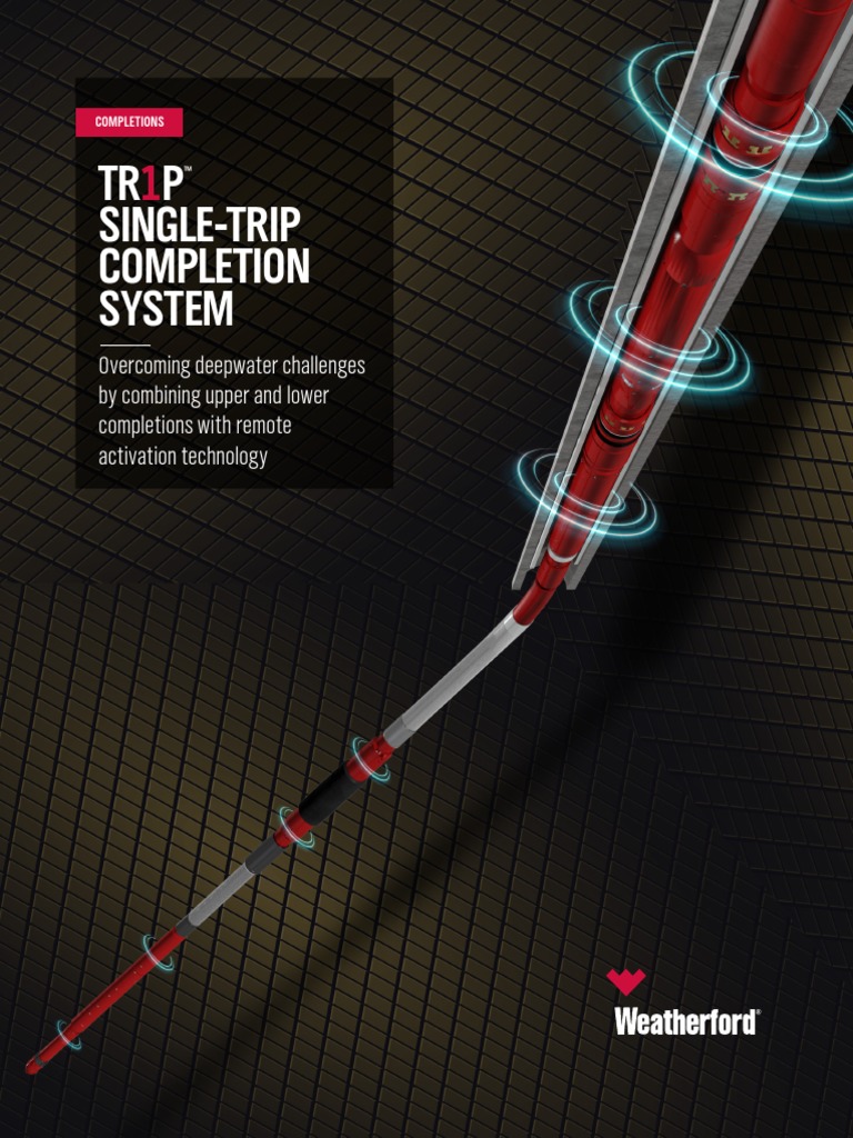 tr1p-singletrip-completion-system-pdf-manufactured-goods-nature