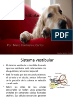 Sindrome Vestibular