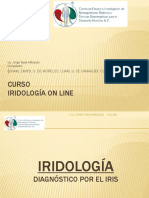 Curso%20Iridologia%20ON%20LINE%202010%20Presentacion.pdf