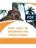 Plan Local de Seguridad Vial.pdf
