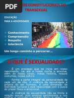 Os Direitos Constitucionais do Transexual.pptx