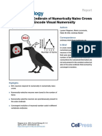 Wagener Lysann Et Al., Neurons in The Endbrain of Numerically Naive Crows Spontaneously Encode Visual Numerosity