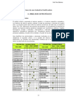 MIC-Análisis Externo Con Cuadros de Variables PDF