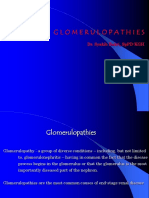 Glomerulopathies-Dr. Rabiul