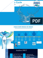 Product Life Cycle Maturity Company (Aqua)