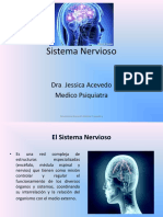 Sistema Nervioso Dra Jessica Acevedo