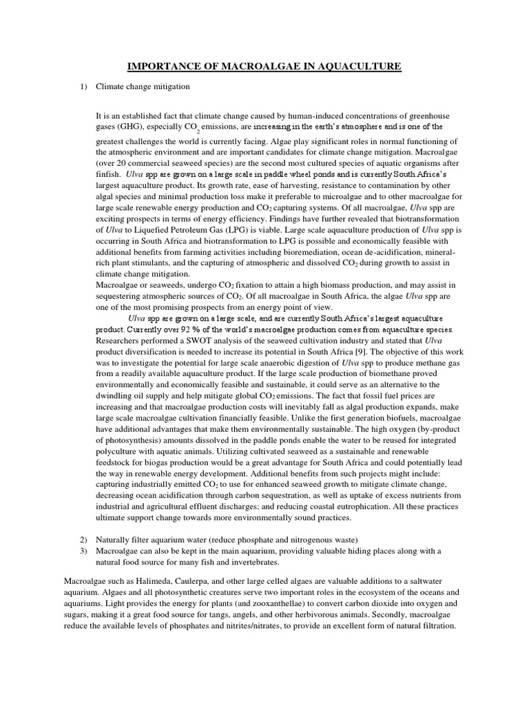 Macroalgae's Role in Aquaculture | PDF | Seaweed | Aquarium