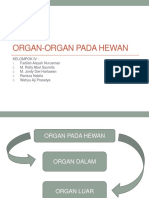 Organ-Organ Pada Hewan