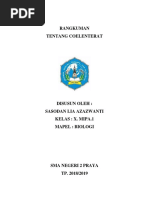 rangkuman coelenterata