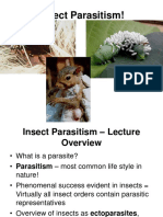 Insect Parasitism 2013