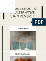 Stain Remover Presentation