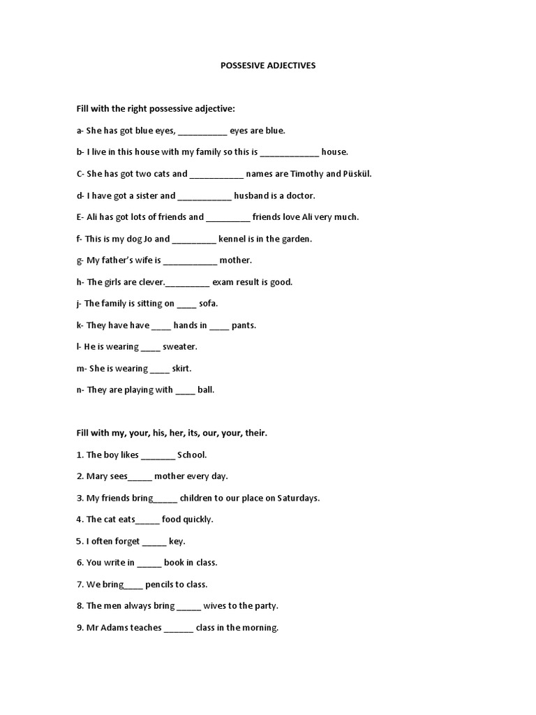 Possessive Adjectives Worksheet | PDF
