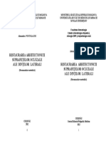 Postolachi_Restaurarea_suprafetelor_2012_ro-en.pdf
